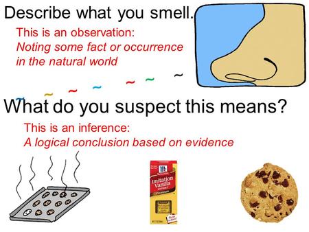 Describe what you smell. What do you suspect this means? ~ ~ ~ ~ ~ ~ ~ This is an observation: Noting some fact or occurrence in the natural world This.