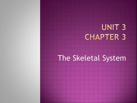 Unit 3 Chapter 3 The Skeletal System.