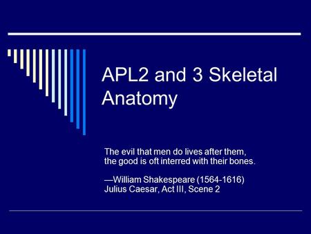 APL2 and 3 Skeletal Anatomy The evil that men do lives after them, the good is oft interred with their bones. —William Shakespeare (1564-1616) Julius Caesar,