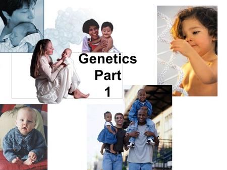 Genetics Part 1. You have your genes to thank – or blame for how you look Genes are your body's instruction manual. They affect the way you look, your.