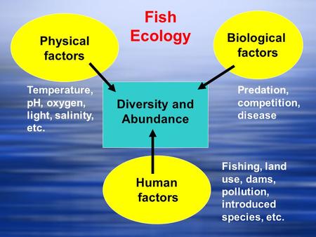 Diversity and Abundance Human factors Biological factors Physical factors Temperature, pH, oxygen, light, salinity, etc. Predation, competition, disease.