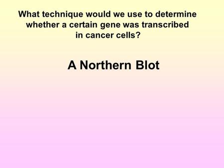 What technique would we use to determine whether a certain gene was transcribed in cancer cells? A Northern Blot.