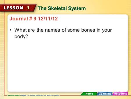 Journal # 9 12/11/12 What are the names of some bones in your body?