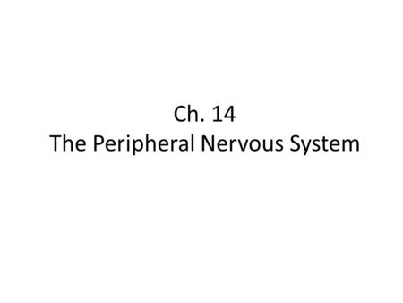 Ch. 14 The Peripheral Nervous System. Objectives Know the divisions of the PNS Know the various types of general sense receptors Be able to describe the.
