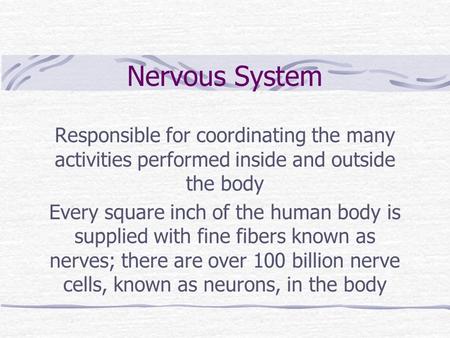 Nervous System Responsible for coordinating the many activities performed inside and outside the body Every square inch of the human body is supplied with.