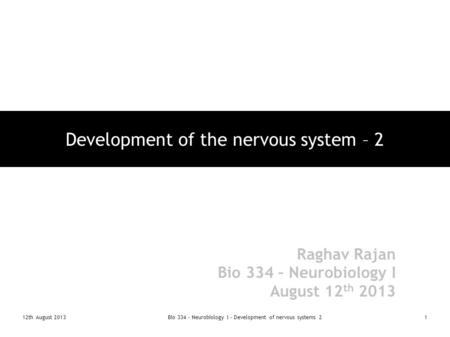 Development of the nervous system – 2