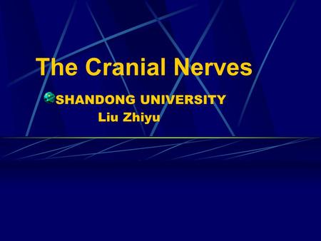 The Cranial Nerves SHANDONG UNIVERSITY Liu Zhiyu
