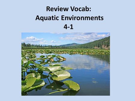 Review Vocab: Aquatic Environments 4-1. a slow-moving body of water where the water seems to stand still; lakes, ponds; and wetlands lentic.