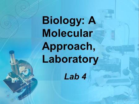 Biology: A Molecular Approach, Laboratory Lab 4. Business Attendance Handouts.