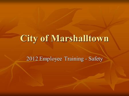 City of Marshalltown 2012 Employee Training - Safety.