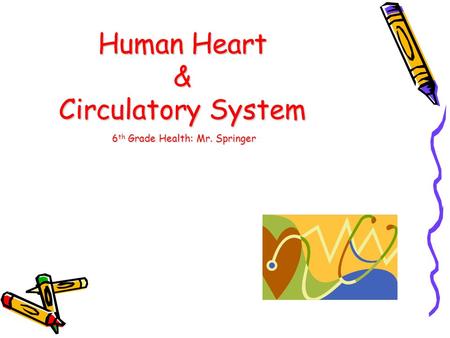 Human Heart & Circulatory System