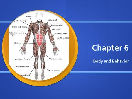 Chapter 6 Body and Behavior. Section 1 - Objective - Understand that the nervous sys- tem helps us know how messages that are sent to and from the brain.