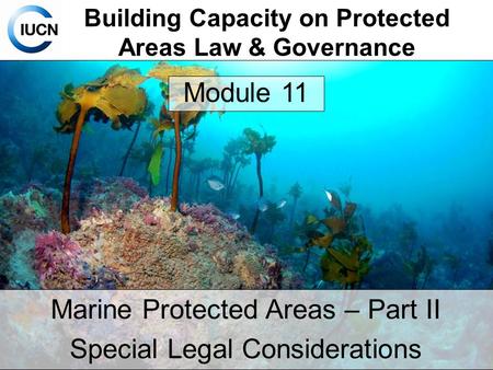 Building Capacity on Protected Areas Law & Governance Marine Protected Areas – Part II Special Legal Considerations Module 11.