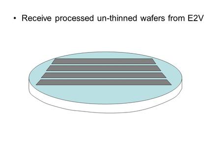 Receive processed un-thinned wafers from E2V. Processed for bump bonding (dice, bump and attach read out chip)