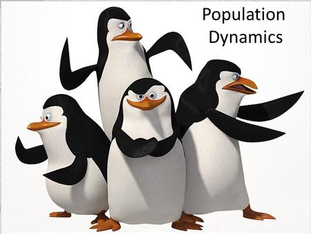 Population Dynamics.