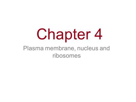Plasma membrane, nucleus and ribosomes