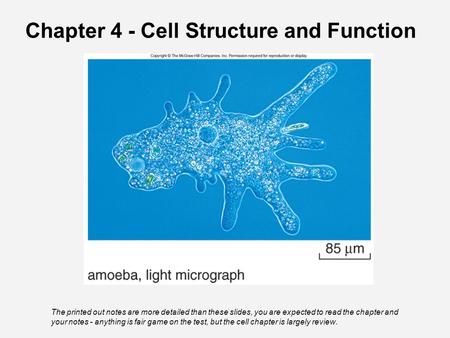 Chapter 4 - Cell Structure and Function The printed out notes are more detailed than these slides, you are expected to read the chapter and your notes.