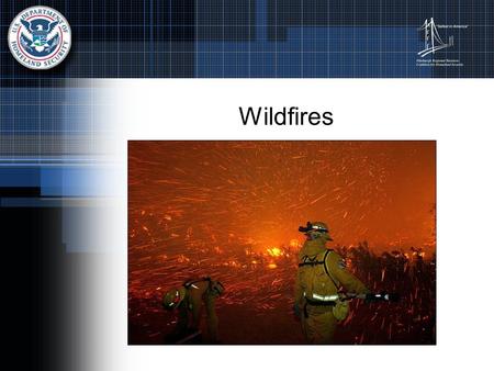 Wildfires. Facts About Wildfires Wildfires are usually triggered by lightning or accidents Wildfires spread quickly igniting brush, trees, and homes.