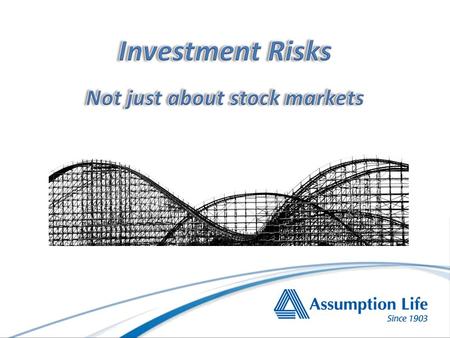 InvestmentRisk Market Risk Interest Rate Risk Credit Risk Manager Risk Inflation Risk Currency Risk Small Capitalization Equity Risk Derivative Risk.