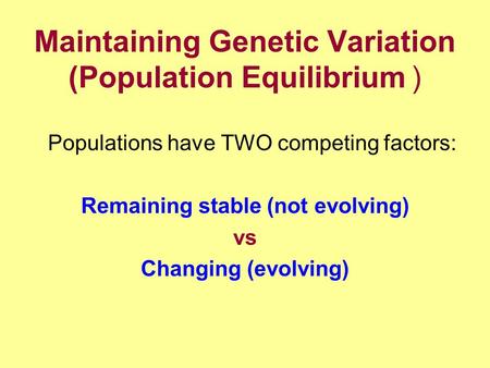 Maintaining Genetic Variation (Population Equilibrium) Populations have TWO competing factors: Remaining stable (not evolving) vs Changing (evolving)
