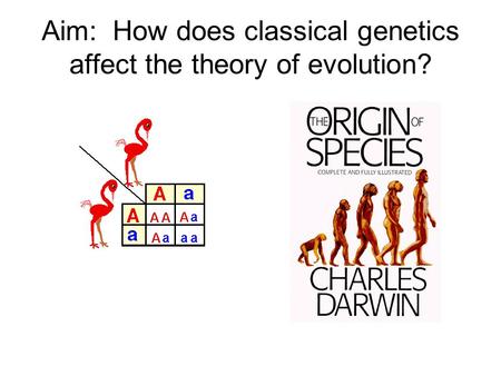 Aim: How does classical genetics affect the theory of evolution?