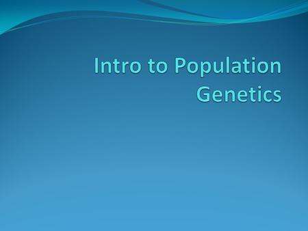 Terms: Population: Group of interbreeding or potentially interbreeding organisms Population Genetics: Branch of genetics that studies the genetic makeup.