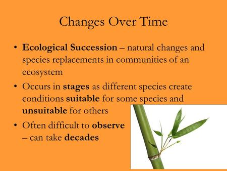 Changes Over Time Ecological Succession – natural changes and species replacements in communities of an ecosystem Occurs in stages as different species.