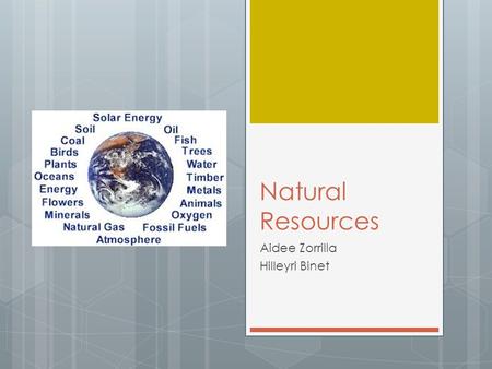Natural Resources Aidee Zorrilla Hilleyri Binet. What does it mean?  Natural resources: materials or substances such as minerals, forests, water, and.