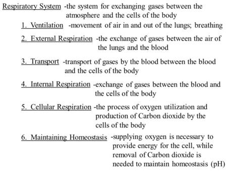 Respiratory System -the system for exchanging gases between the