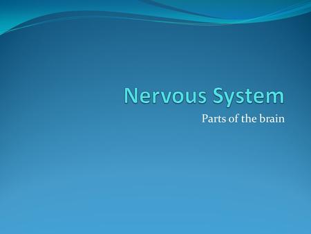 Nervous System Parts of the brain.