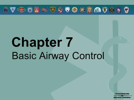 Chapter 7 Basic Airway Control. © 2005 by Thomson Delmar Learning,a part of The Thomson Corporation. All Rights Reserved 2 Overview  Anatomy Review 
