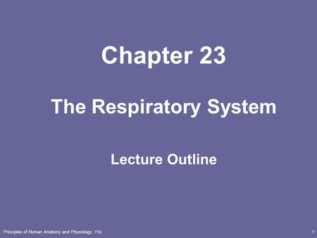 Principles of Human Anatomy and Physiology, 11e1 Chapter 23 The Respiratory System Lecture Outline.