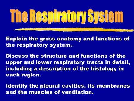 Explain the gross anatomy and functions of the respiratory system. Discuss the structure and functions of the upper and lower respiratory tracts in detail,
