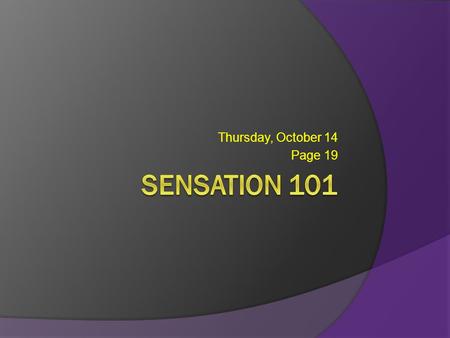 Thursday, October 14 Page 19. Terminology  Sensation: stimulation of sensory receptors & transmission of information to the brain The Five Senses ○ Vision: