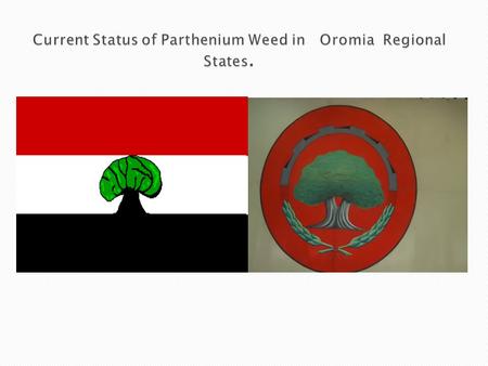 Current Status of Parthenium Weed in Oromia Regional States.