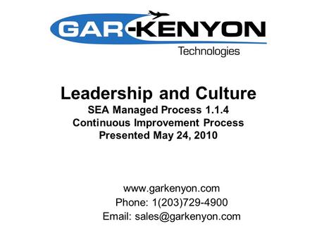Leadership and Culture SEA Managed Process 1.1.4 Continuous Improvement Process Presented May 24, 2010  Phone: 1(203)729-4900