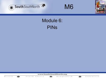 Module 6: PINs M6. M6. PINs Contents: Project Identification Notes – how to structure them (including eligibility, baselines and additionality) Two projects.