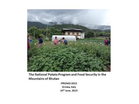 The National Potato Program and Food Security in the Mountains of Bhutan IPROMO 2015 Ormea, Italy 24 th June, 2015.