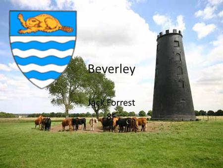 Beverley Jack Forrest 8F. What gave Beverley its name and how did it become a town Beverley means beaver stream because once beavers were very common.