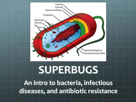 An intro to bacteria, infectious diseases, and antibiotic resistance