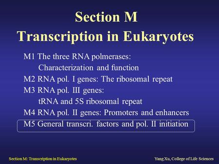 Section M: Transcription in EukaryotesYang Xu, College of Life Sciences Section M Transcription in Eukaryotes M1 The three RNA polmerases: Characterization.