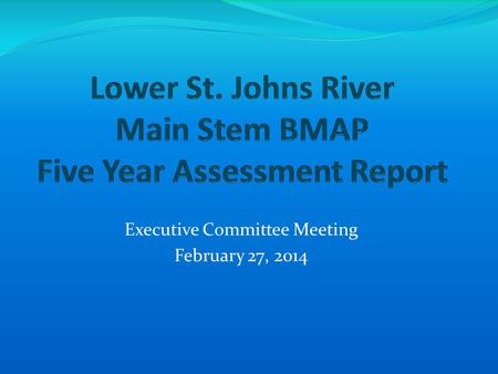 Executive Committee Meeting February 27, 2014. 5 Year Assessment Report Overview This is the fifth annual report on the basin management action plan (BMAP)