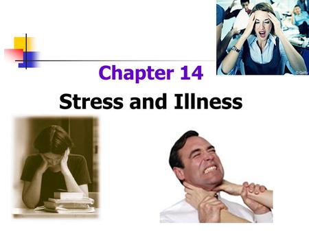 Chapter 14 Stress and Illness. Stress and Health Stress is a risk factor for the development of disease Stress may aggravate an existing disease or interfere.