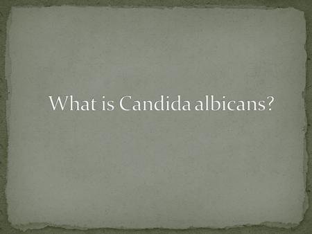 Dantwan Smith Problems with Candida albicans Distribution of C. albicans What is C. albicans? Symptoms Health related problems Favorable conditions.