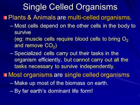 Single Celled Organisms Plants & Animals are multi-celled organisms. –Most cells depend on the other cells in the body to survive (eg: muscle cells require.