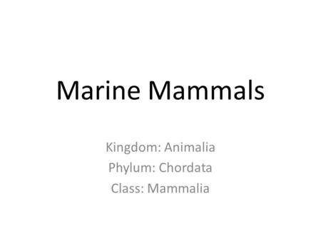 Marine Mammals Kingdom: Animalia Phylum: Chordata Class: Mammalia.
