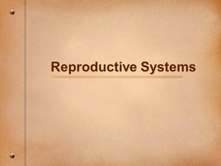 Reproductive Systems. Puberty HORMONES: substances that act in the body like messengers PUBERTY: period of time in the mid teens when reproductive hormones.