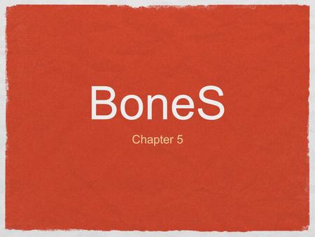 BoneS Chapter 5. Functions of the Bones Besides body shape and form there are several important body functions: Support: Bones, are the steel girds and.
