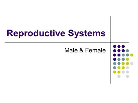 Reproductive Systems Male & Female.