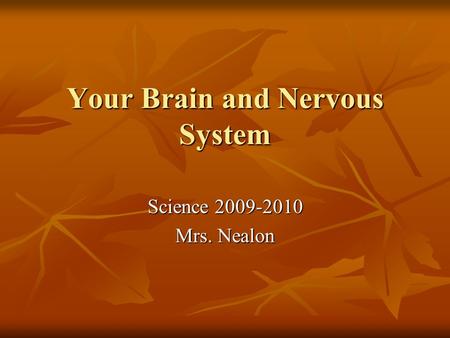 Your Brain and Nervous System Science 2009-2010 Mrs. Nealon.